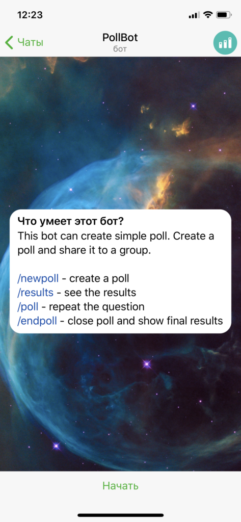 Как создать опрос в Telegram через Бот